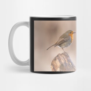 Robin perch Mug